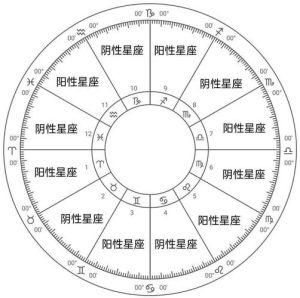 2025爱情星盘大转变：四大星座桃花盛放指南