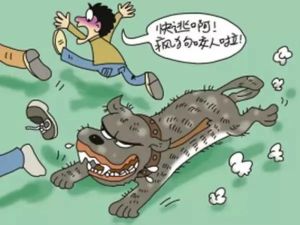 倒霉的人为什么一直倒霉：心态与行动的蜕变之路