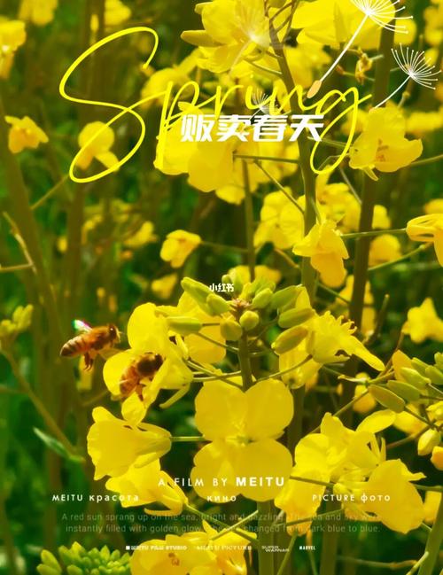 春季搬家吉日风水指南，避开霉运迎好运！