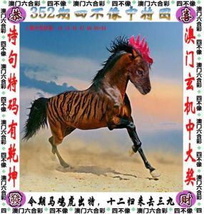 虎马鸡狗勇闯人生：战胜恐惧，拥抱好运的生肖传奇