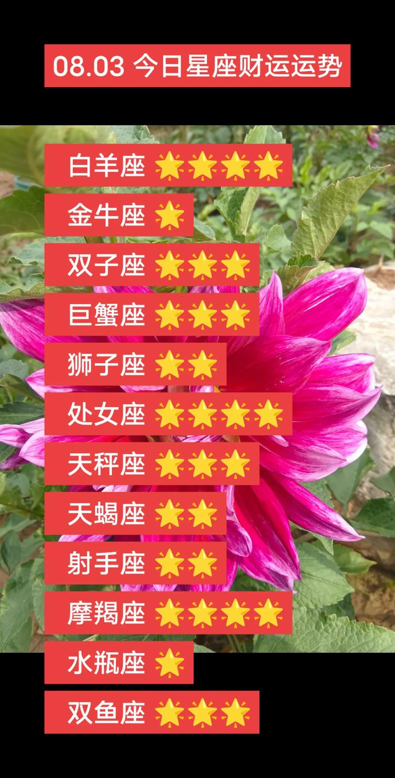 2025生肖年财运攻略：白羊金牛狮子天蝎把握时机！