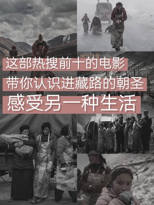 四星座情感韧性与智慧：随缘生活，电影中的情感旅程