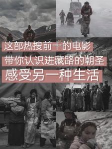 四星座情感韧性与智慧：随缘生活，电影中的情感旅程