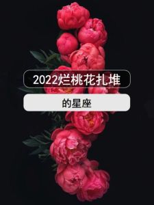 2025年星座爱情盛宴：四大星座桃花盛开，勇敢追寻幸福！