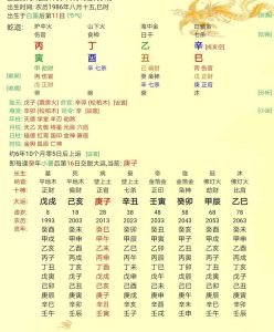 甲午命理揭秘：威严华贵，财富美满的人生轨迹