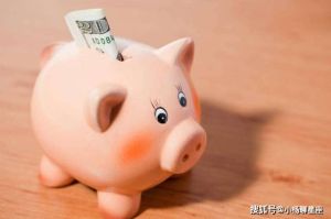 生肖猪三大贵人日：本命年生日及正月初一好运指南