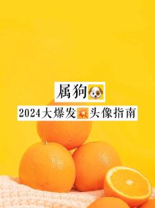 12月底生肖狗运势爆发：机遇滚滚，福泽绵长！