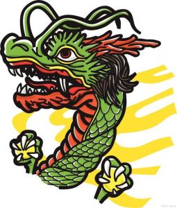 12月生肖龙羊猪运势飙升：福星高照，事业生活大飞跃！
