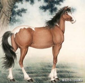 生肖龙蛇马五个月运势飙升：事业财运双丰收！
