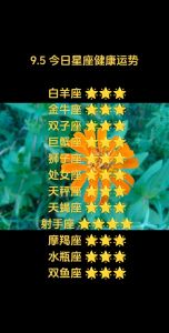 2025年星座运势：白羊金牛双子狮子丰收季揭秘！