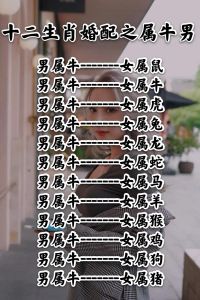属牛女爱情配对：四大生肖守护幸福稳定