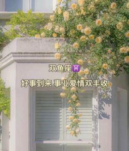 2025运势揭秘：生肖星座事业爱情双丰收