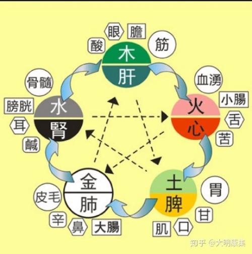 五行与现代医学结合探健康：生肖运势与疾病启示