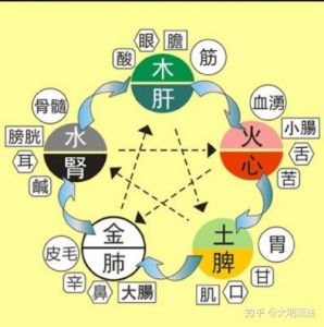五行与现代医学结合探健康：生肖运势与疾病启示