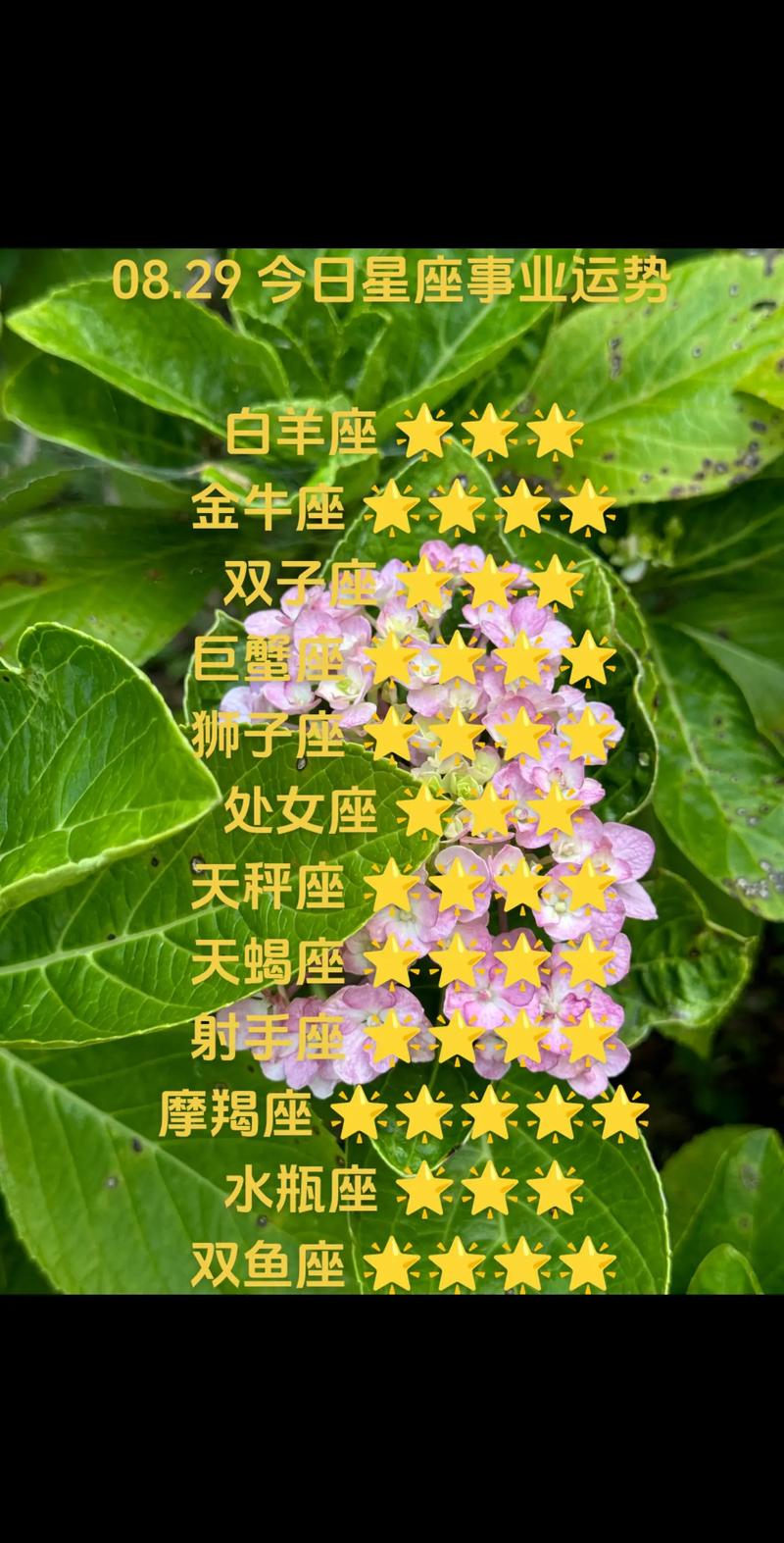 2025年四大星座运势：白羊金牛双子巨蟹事业爱情双丰收