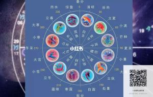2025年生肖星座：白羊双子亥猪狮子事业爱情双丰收