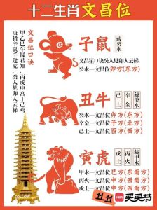 12月生肖猴牛虎运势飙升：事业新高峰，机遇满满！