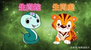 生肖蛇婚姻雷区：猪虎鼠挑战与智慧之道