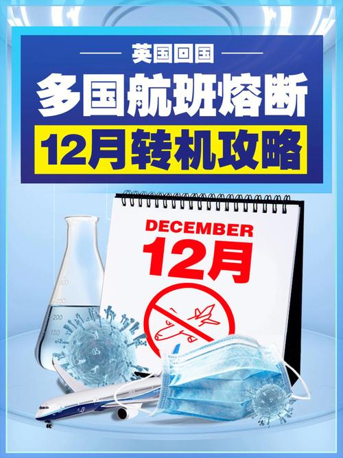 11月属牛人疲惫揭秘，12月转机将至！