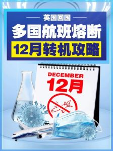 11月属牛人疲惫揭秘，12月转机将至！