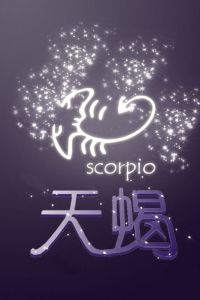 单身独立之星：星座魅力与生活智慧