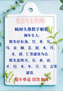 12月生肖狗羊鸡财运盛宴，智慧理财享横财！