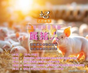 兔鸡猪本月运势大爆发：财运爱情双丰收！