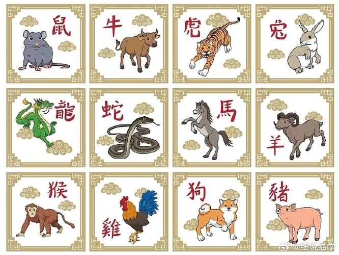 生肖坚韧精神：逆境中的奋斗传奇