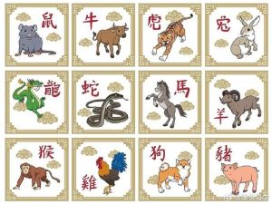 生肖坚韧精神：逆境中的奋斗传奇