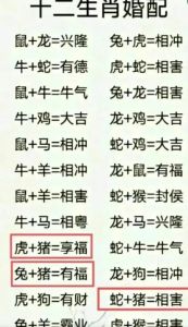 2024年12月10日生肖运势：虎猪蛇需注意，鼠龙谨慎相处