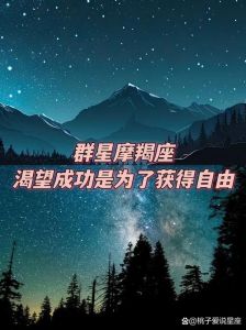 揭秘坚韧星座：电影中的孤独与渴望