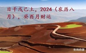 12月10日生肖运势揭秘：戊土日干，抓住机遇，成就非凡