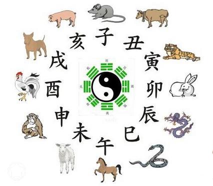 生肖女生魅力解析：四生肖如何成为心动对象