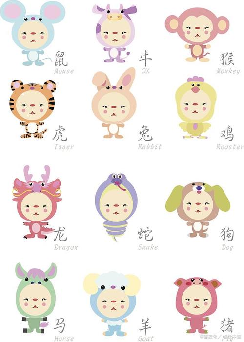 生肖女生魅力解析：四生肖如何成为心动对象