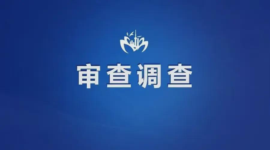 平凡中的强者：专注与坚持的力量