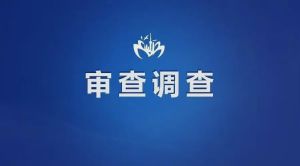 平凡中的强者：专注与坚持的力量
