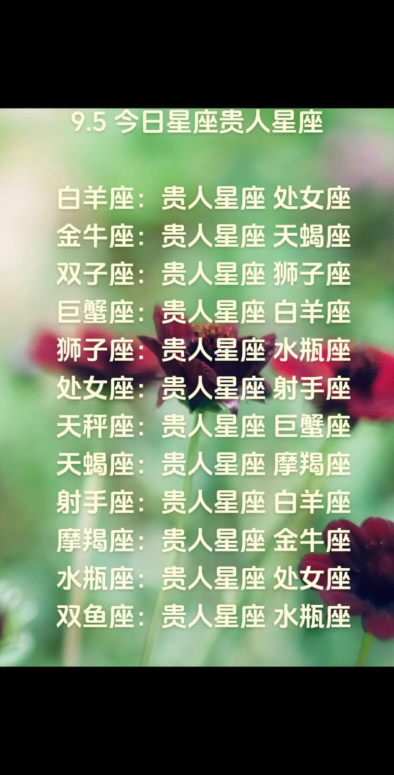 生肖女生独立之路：白羊狮子处女座追梦故事