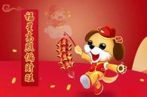 四大星座斗士：逆境中的星光启示录