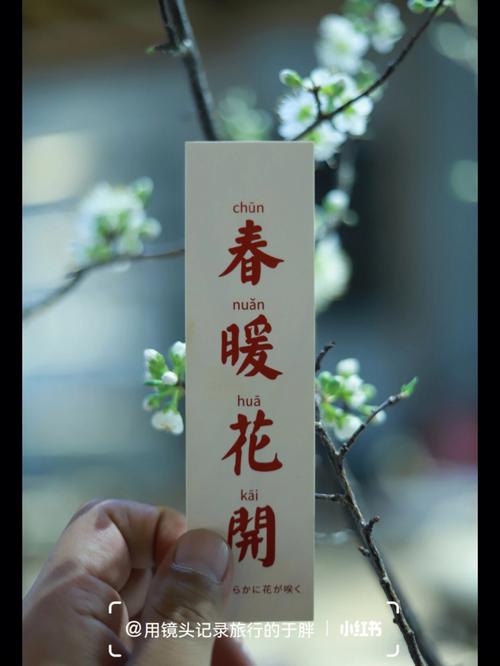 今日黄历吉事多，龙鼠大吉，穿黑白灰旺桃花