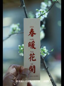 今日黄历吉事多，龙鼠大吉，穿黑白灰旺桃花