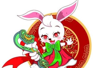 2024生肖好运指南：猪兔蛇鸡桃花旺，喜宴启示生活智慧