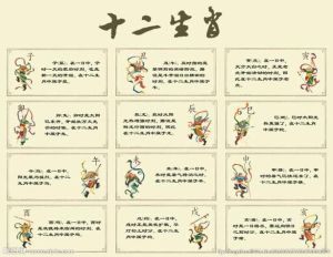 生肖搭档揭秘：命中注定，幸福共赢组合