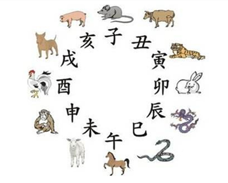 12月11日干支日生肖运势：卯兔酉鸡戌狗注意事项