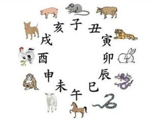 12月11日干支日生肖运势：卯兔酉鸡戌狗注意事项