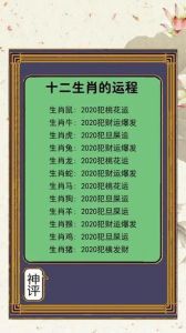 十二生肖运势揭秘：今日运势起伏，如何把握机遇？