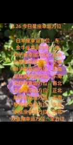 2025年运势大爆发：白羊巨蟹狮子水瓶的幸福新篇章