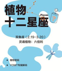 2025年星座运势：四大星座安心生活新篇章
