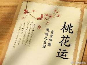 2025红鸾星耀：生肖星座情缘新纪元