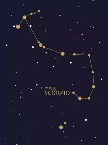 2025运势揭秘：生肖星座爱情财运双丰收指南