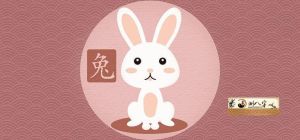 12-1月生肖兔鸡猪桃花旺，前任回归月老牵线！